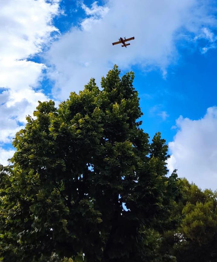 tortora località fiume grande incendio 2021 canadair