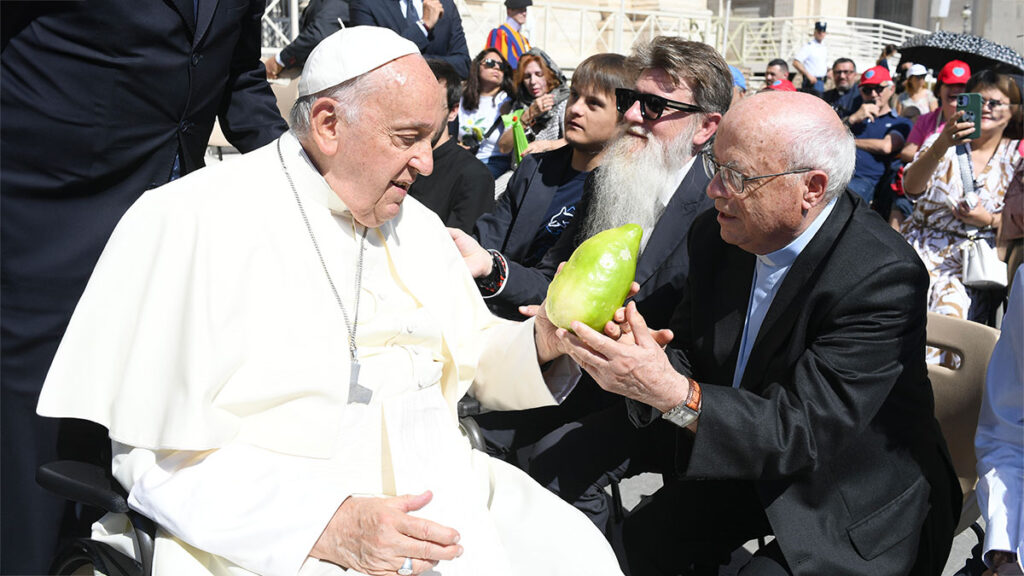 papa francesco cedro