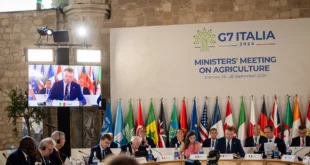 G7 agricoltura