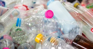 bottiglie plastica mangiaplastica ministero ambiente